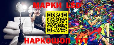 гидропоника Новозыбков