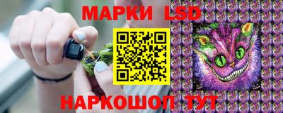 a pvp Новодвинск