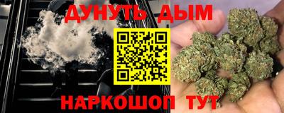 гидропоника Новозыбков
