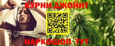 гидропоника Новозыбков