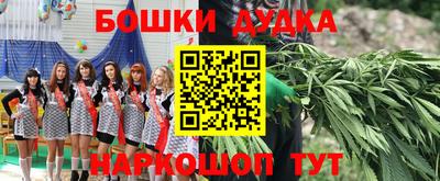 гидропоника Новозыбков