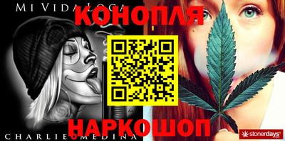 a pvp Новодвинск