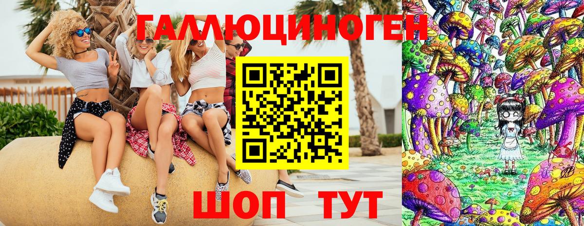 Улан-Удэ  Галлюциногенные грибы MAGIC MUSHROOMS  закладки  Вход с VPN 